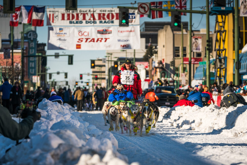 Iditarod Start Day 18 JodyO.Photos